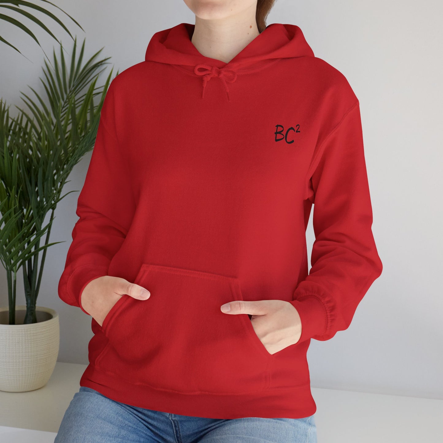 BC2 Hoodie